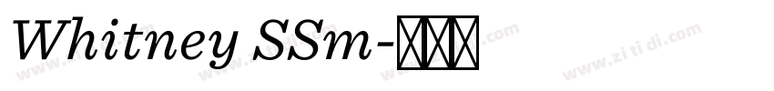 Whitney SSm字体转换